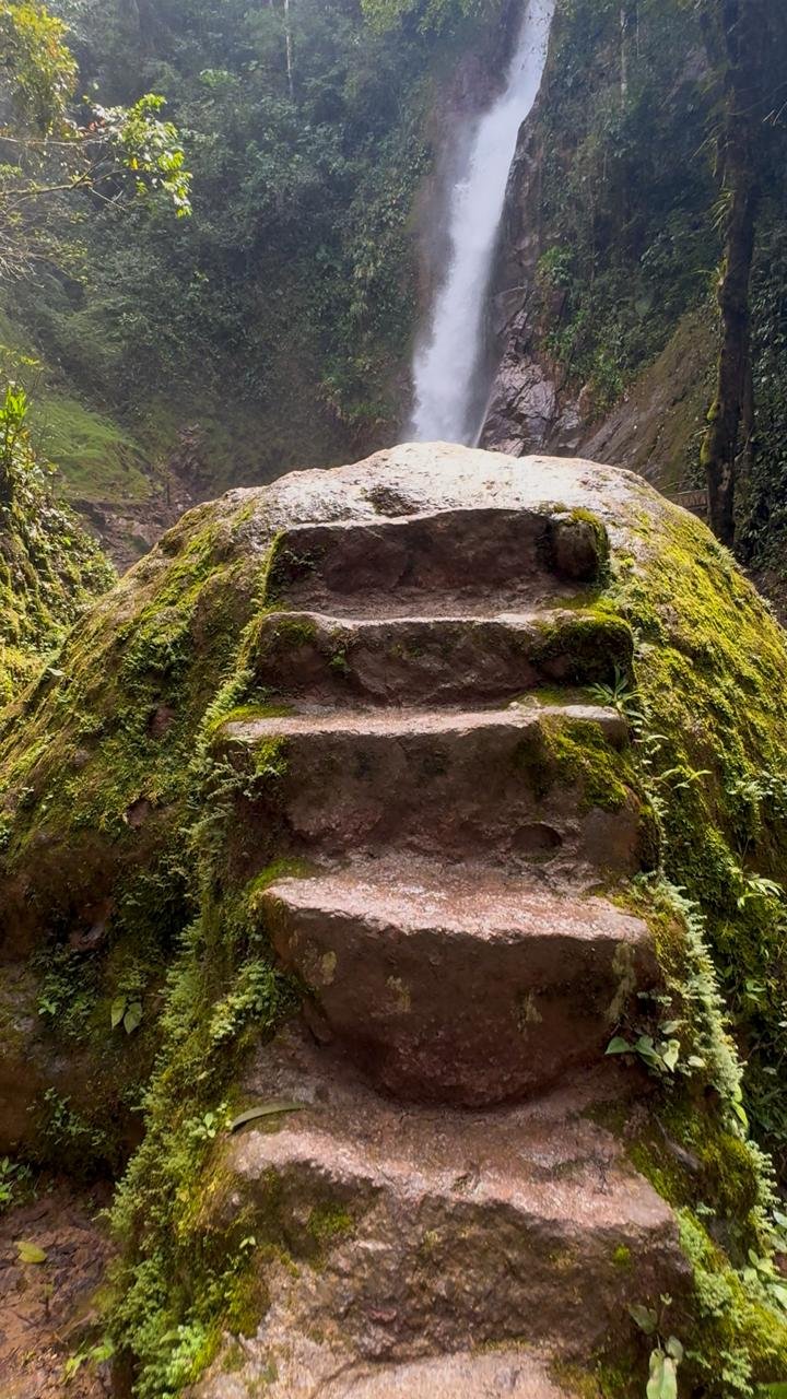 Camino hacia la catarata Tirol en San Ramón